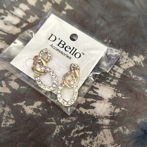 Beautiful Sparkling Earings